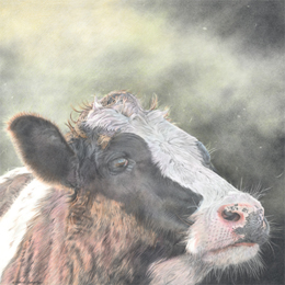 Buy a limited edition Gicle print by Mark Langley Animal Artist