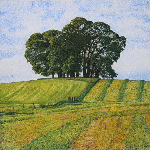 'Wibben Hill Cut Hay' Oil on canvas - 61 x 61 cm