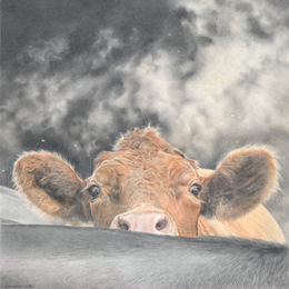 Buy a limited edition Giclée print by Mark Langley Animal Artist